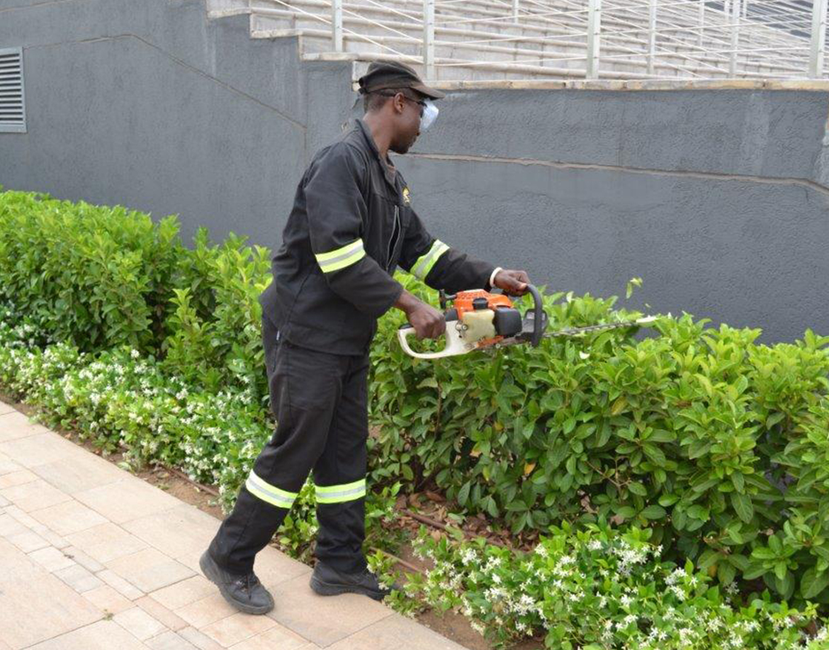 bac4cc2b689d465391bf928da579572c